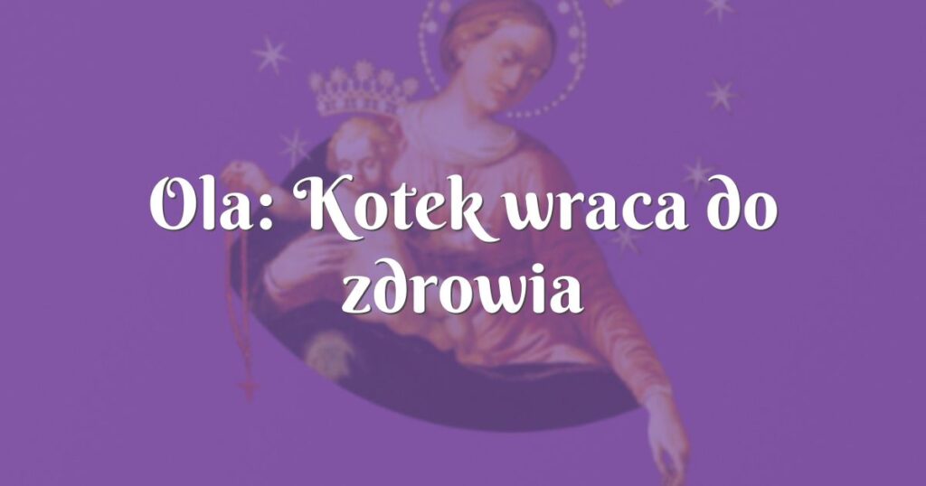 ola: kotek wraca do zdrowia