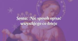 sosna: nie sposób opisać wszystkiego co dzieje się w moim życiu