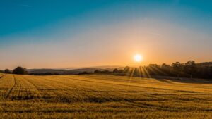 wschód słońca nad polami